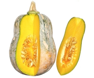 Bí hồ lô