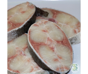 Cá Bớp