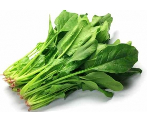 Cải bó xôi