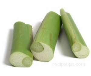 CÂY BẠC HÀ