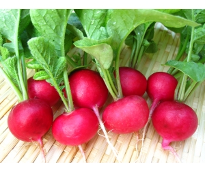 Củ cải đỏ