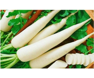 Củ cải trắng