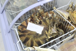 Đồ khô