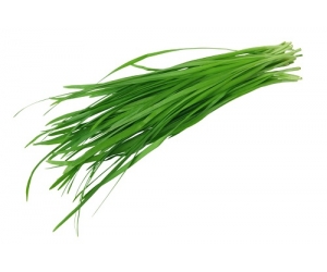 Hẹ
