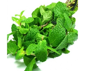 Húng lủi