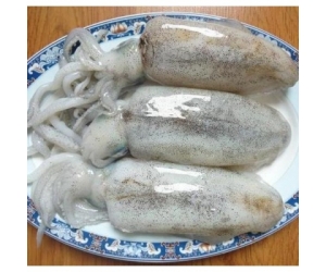 MỤC LÁ NHỎ