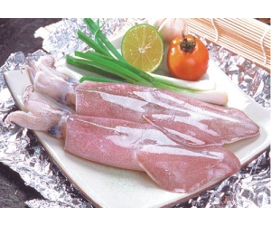 MỰC ỐNG LỚN