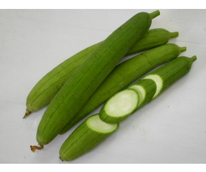 Mướp