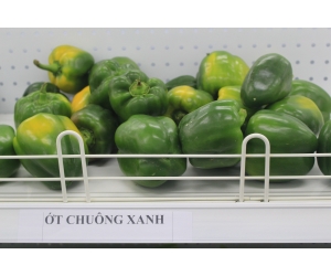 Ớt chuông xanh