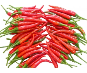 Ớt hiểm đỏ