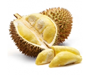 SẦU RIÊNG 6 RI
