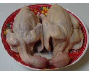THỊT BỒ CÂU RA RÀNG