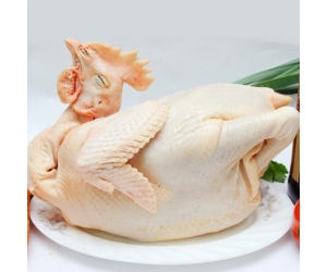 THỊT GÀ TA DRAN ĐƠN DƯƠNG